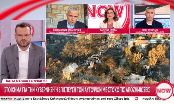 Κ. Καραγκούνης: «Ο ακριβής αριθμός των καταστραφών από την πυρκαγιά είναι πολύ μικρότερος από αυτό που είχε ανακοινωθεί»