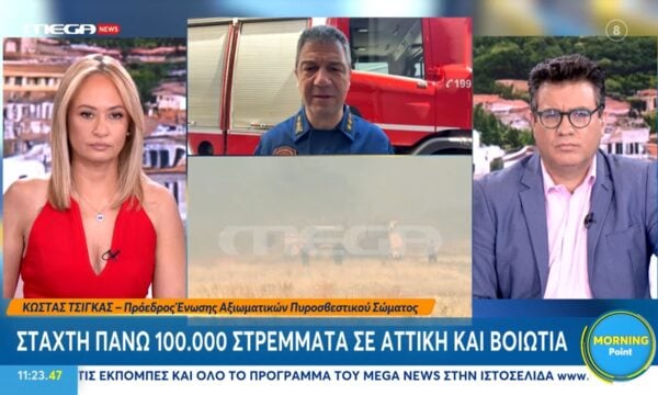 Κ. Τσίγκας: «Δεν επεκτείνεται καμία πυρκαγιά αν δεν ξεκινήσει από κάποια αμέλεια και απερισκεψία»