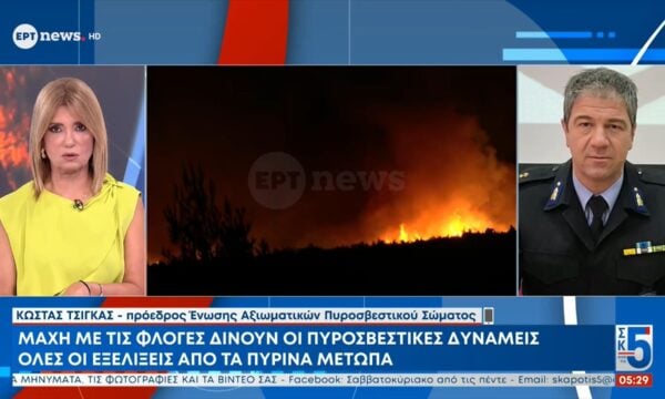 Κ. Τσίγκας στο ΕΡΤnews: Σε δύο μέτωπα η φωτιά στον Κιθαιρώνα – «Περιορίζεται η ταχύτητα εξάπλωσης»