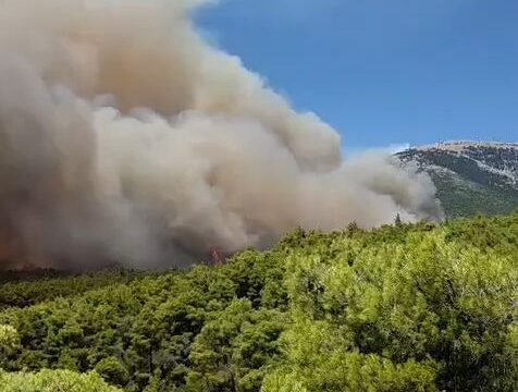 Καίει πευκοδάσος η φωτιά στο Πόρτο Γερμανό