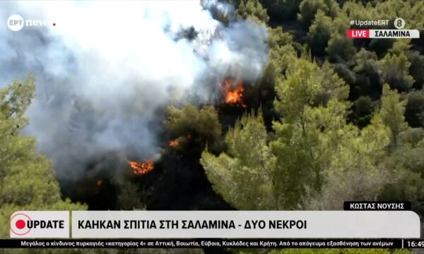 Κάηκαν σπίτια στη Σαλαμίνα – Δύο νεκροί