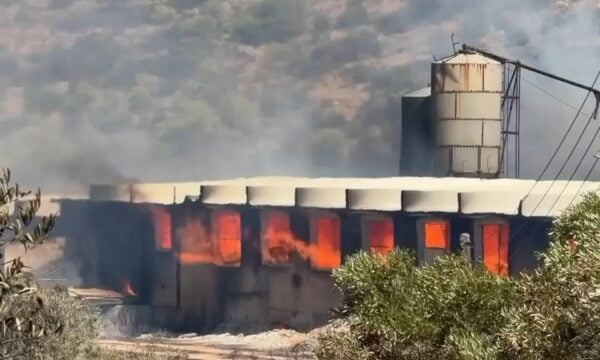 Κάηκε κτηνοτροφική μονάδα από τη φωτιά στον Κουβαρά Αττικής