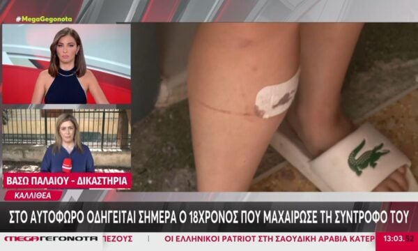 Καλλιθέα: Το ποινικό παρελθόν του 18χρονου που μαχαίρωσε τη 19χρονη σύντροφό του – Ναρκωτικά, κλοπές και βία