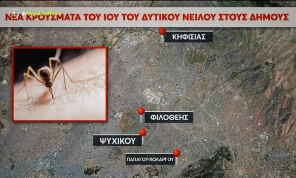 «Καλπάζει» ο ιός του Δυτικού Νείλου – Στο επίκεντρο η Αττική