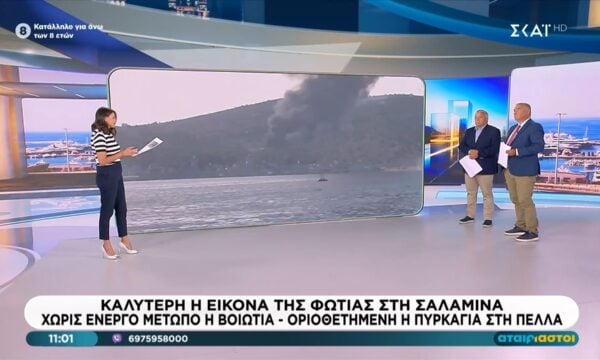Καλύτερη η εικόνα της φωτιάς στη Σαλαμίνα, χωρίς ενεργό μέτωπο η Βοιωτία – Οριοθετημένη η πυρκαγιά στην Πέλλα