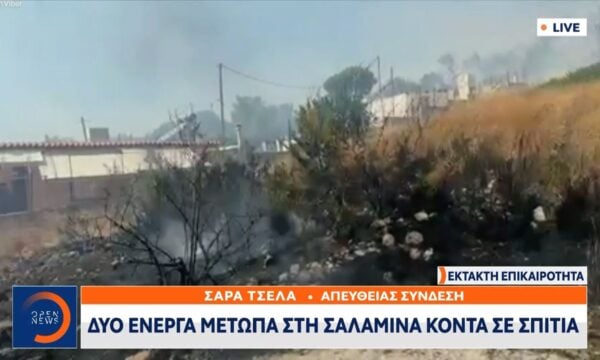 Καμένες εκτάσεις στην Σαλαμίνα – Πλησιάζει τα σπίτια η πυρκαγιά