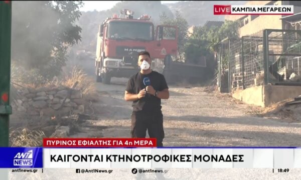 Καμπιά Μεγάρων – Καίγονται κτηνοτροφικές μονάδες