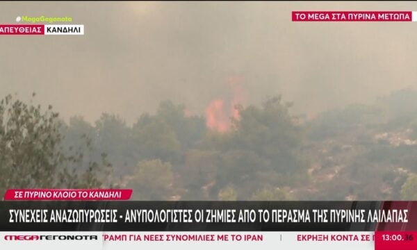 Κανδήλι: Συνεχείς αναζωπυρώσεις – Ανυπολόγιστες οι ζημιές από το πέρασμα της πύρινης λαίλαπας
