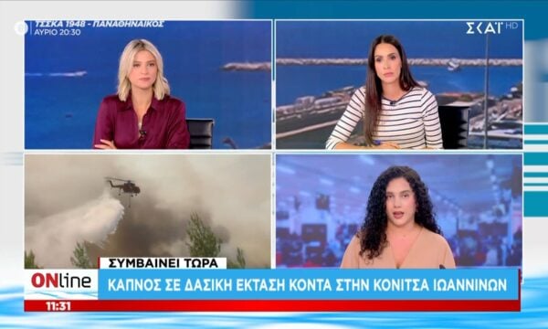 Καπνός σε δασική έκταση κοντά στην Κόνιτσα Ιωαννίνων