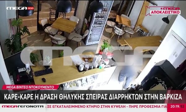 Καρέ καρέ η δράση θυληκής σπείρας διαρρηκτών στη Βάρκιζα