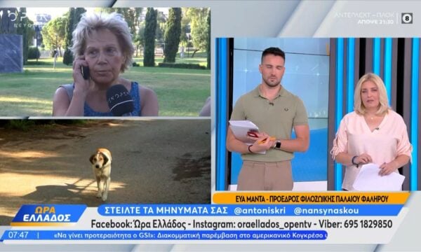 Κατοικίδια στο δρόμο: Πληθαίνουν οι εγκαταλείψεις στις διακοπές