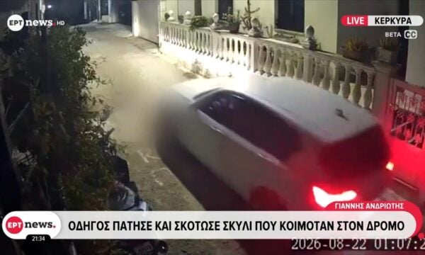 Κέρκυρα: Οδηγός πάτησε και σκότωσε σκυλί που κοιμόταν στον δρόμο