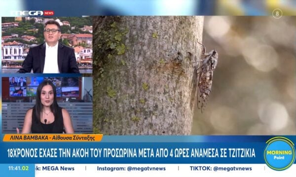 Κίνα: 18χρονος έχασε προσωρινά την ακοή του μετά από 4 ώρες ανάμεσα σε τζιτζίκια