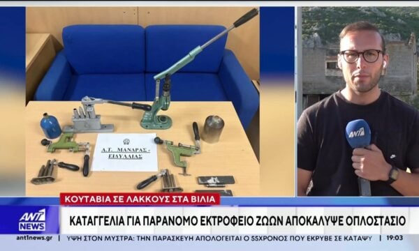 Κουτάβια σε λάκκους στα Βίλια: Καταγγελία για παράνομο εκτροφείο ζώων αποκάλυψε οπλοστάσιο