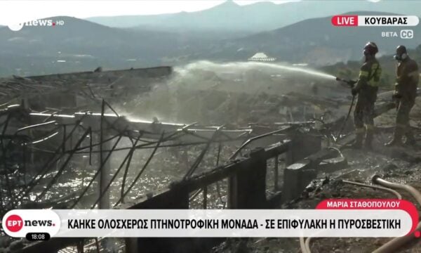 Κουβαράς: Κάηκε ολοσχερώς κτηνοτροφική μονάδα – Σε επιφυλακή η πυροσβεστική
