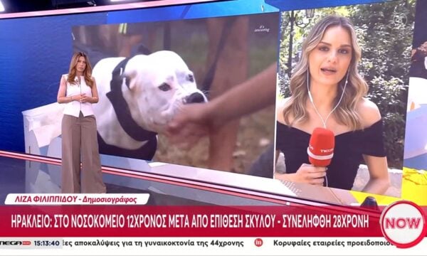Κρήτη: 12χρονος νοσηλεύεται το νοσοκομείο Ηρακλείου μετά από επίθεση σκύλου – Συνελήφθη η 28χρονη ιδιοκτήτρια