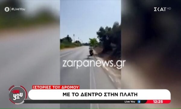 Κρήτη | Οδηγός κουβαλάει στην πλάτη… ολόκληρο δέντρο