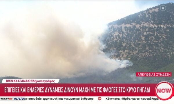 Κρύο Πηγάδι: Επίγειες και εναέριες δυνάμεις δίνουν μάχη με τις φλόγες