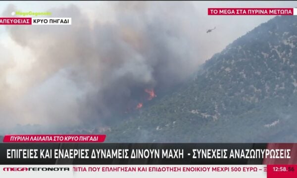Κρύο Πηγάδι: Επίγειες και εναέριες δυνάμεις δίνουν μάχη – Συνεχείς αναζωπυρώσεις