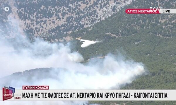 Ξεκίνησαν να επιχειρούν τα Canadair στον Άγιο Νεκτάριο