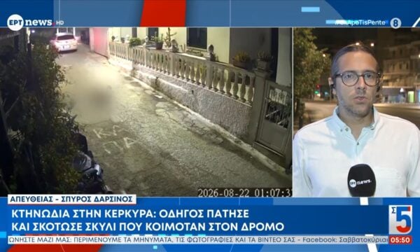 Κτηνωδία στην Κέρκυρα | Οδηγός πάτησε και σκότωσε σκυλί που κοιμόταν στον δρόμο