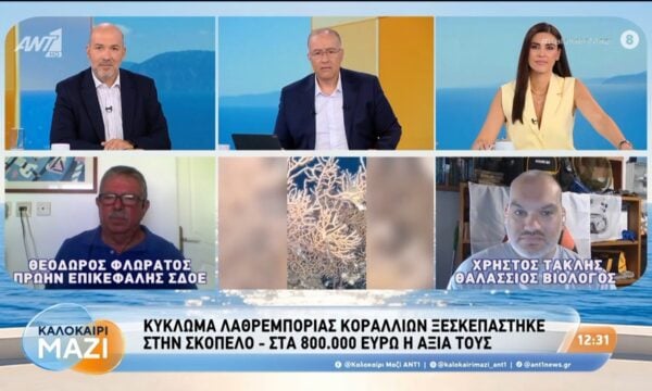 Κύκλωμα λαθρεμπορίας κοραλλιών ξεσκεπάστηκε στην Σκόπελο – Καλοκαίρι Μαζί – 05/08/2026