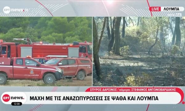 Μάχη με τις αναζωπυρώσεις σε Ψάθα και Λούμπα