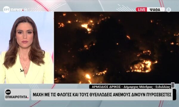 Μάχη με τις φλόγες δίνουν οι πυροσβέστες – Αρμόδιος Δρίκος, Δήμαρχος Μάνδρας – Ειδυλλίας