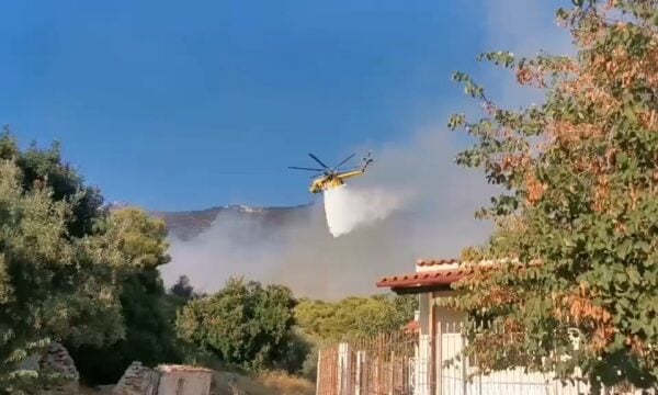 Μάχη με τις φλόγες σε σπίτια στην Ψάθα