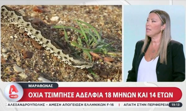 Μαραθώνας: Οχιά δάγκωσε αδέλφια 18 μηνών και 13 ετών