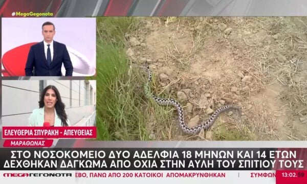 Μαραθώνας: Στο νοσοκομείο δύο αδέλφια 18 μηνών και 14 ετών που δέχτηκαν δάγκωμα από οχιά