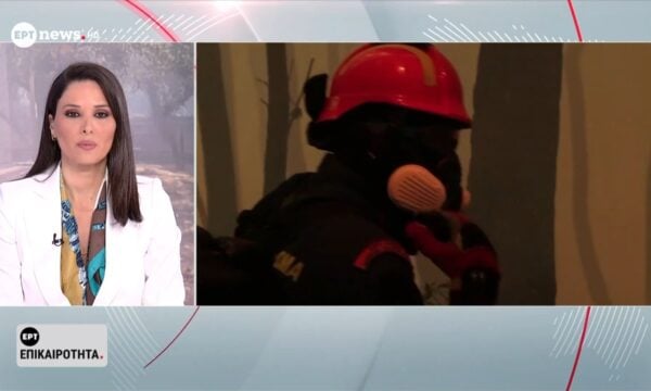 Μεγάλες φωτιές σε Πόρτο Γερμενό και Φωκίδα: Π. Ανδρεόπουλος, ΓΓ υπαλλήλων Π.Σ.