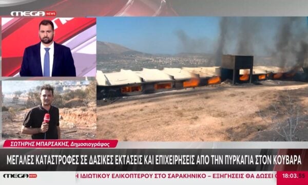 Μεγάλες καταστροφές σε δασικές εκτάσεις και επιχειρήσεις από την πυρκαγιά στον Κουβαρά