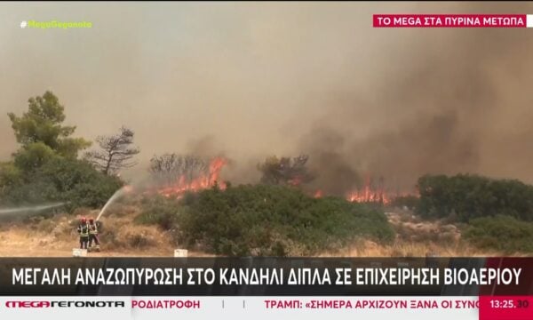 Μεγάλη αναζωπύρωση στο Κανδήλι δίπλα σε επιχείρηση βιοαερίου