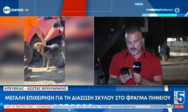 Μεγάλη επιχείρηση για τη διάσωση σκύλου στο φράγμα Πηνειού