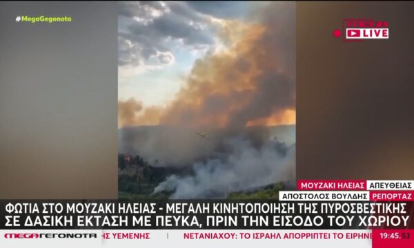 Μεγάλη φωτιά σε δάσος στο Μουζάκι Ηλείας – Επιχειρούν εναέρια μέσα