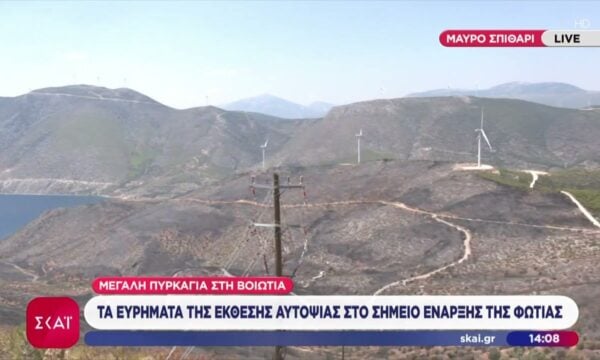 Μεγάλη φωτιά στη Βοιωτία: Τα ευρήματα της έκθεσης αυτοψίας στο σημείο έναρξης της φωτιάς