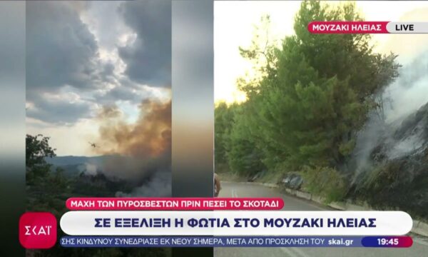 Μεγάλη φωτιά στο Μουζάκι Ηλείας – Οριοθετήθηκαν οι πυρκαγιές σε Νέο Μοναστήρι Δομοκού και Κορωπί