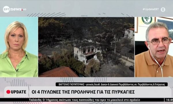 Μεγάλη η περιβαλλοντική καταστροφή από την πυρκαγιά στη δυτική Αττική – Β. Γκουντούφας, γεν. διευθ. Δασών & Δασικού Περιβάλλοντος