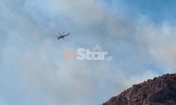 Μεγάλη πυρκαγιά στη Σαλαμίνα – Εγκλωβισμένοι πολίτες