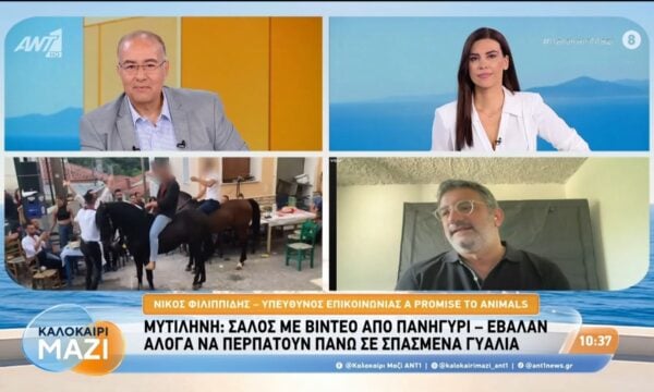 Μυτιλήνη: Έβαλαν άλογα να περπατούν πάνω σε σπασμένα γυαλιά – Καλοκαίρι Μαζί – 11/08/2026