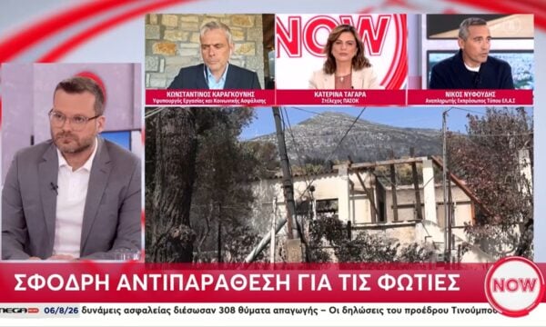 Ν. Νυφούδης: «Όπου έχουν υπάρξει μεγάλες φωτιές είναι κοντά σε πάρκα με ανεμογεννήτριες»