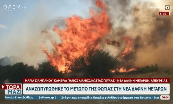 Νέα Δάφνη Μεγάρων: Αναζωπυρώθηκε η φωτιά