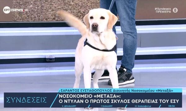 Νοσοκομείο «Μεταξά»: Ο Ντύλαν ο πρώτος σκύλος θεραπείας του ΕΣΥ