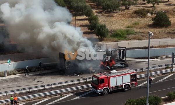 Νταλίκα τυλίχθηκε στις φλόγες σε πάρκινγκ στην Εθνική Οδό μετά τη Στυλίδα