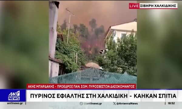 Ο Άκης Μπαρδάκης στον ΑΝΤ1 από το μέτωπο της φωτιάς στην Χαλκιδική