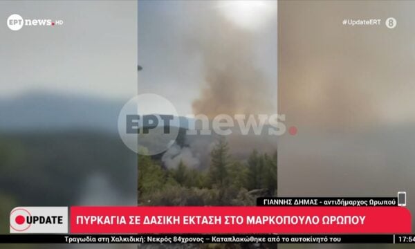 O αντιδήμαρχος Ωρωπού, Γιάννης Δήμας, στο ΕΡΤnews