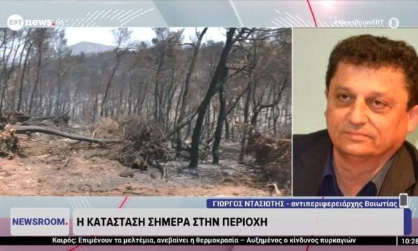 Ο αντιπεριφερειάρχης Βοιωτίας Γιώργος Ντασιώτης στο ΕΡΤnews για την κατάσταση στην περιοχή