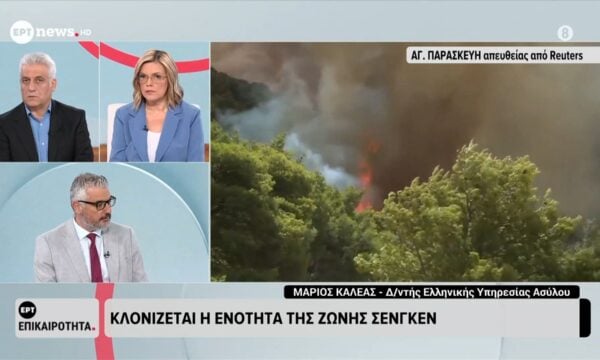 Ο Δ/ντής Ελληνικής Υπηρεσίας Ασύλου, Μάριος Καλέας στο ΕΡΤNews