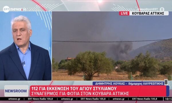 Ο δήμαρχος Λαυρεωτικής Δημήτρης Λουκάς  στο ΕΡΤnews
